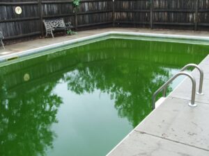 pool with green, dirty water