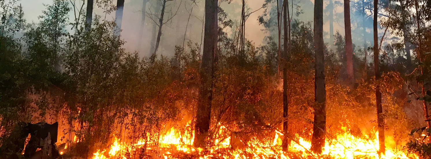 Wildfires and the Air We Breathe